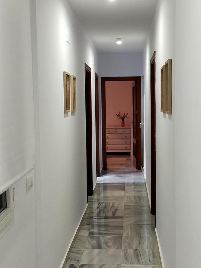 Apartamento Amplio, Seneca 1A Junto Al Centro Málaga Dış mekan fotoğraf